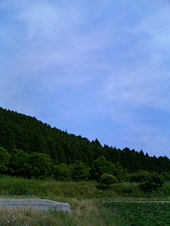 オーガニック農園に_a0103940_1145738.jpg