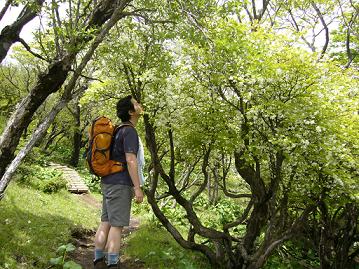 リベンジ!蛭ケ岳・丹沢山：その１_f0065941_1242365.jpg