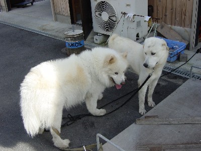 どうやら盛況のようです(穴子オフ)_f0128542_23532914.jpg