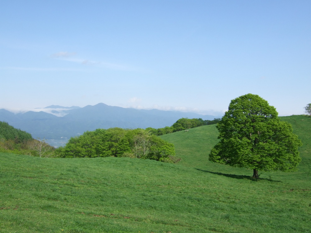 高清水な風景　～丘_d0001843_11263957.jpg