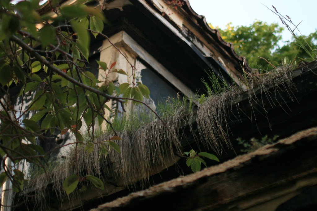 d0001745_4203860.jpg
