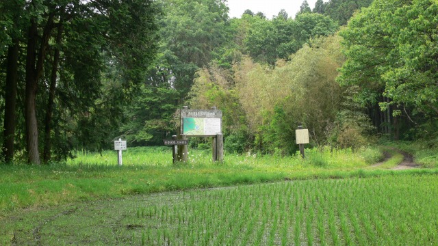 d0094165_8574359.jpg
