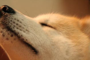 f0047870_146855.jpg