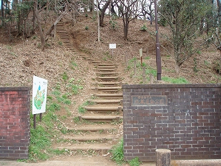 c0105785_910946.jpg