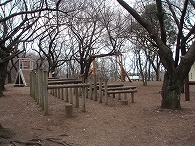 c0105785_9143456.jpg