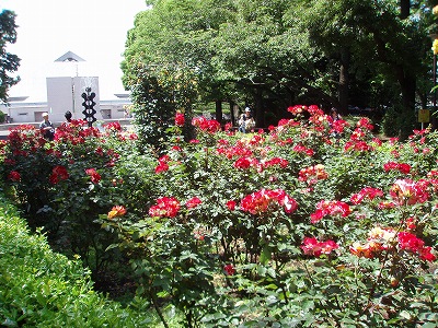 c0105785_9563937.jpg