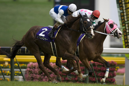 G1 4勝馬　ダイワメジャー_f0081985_16513574.jpg