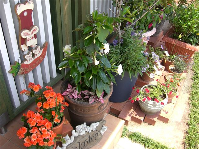 c0087001_261445.jpg