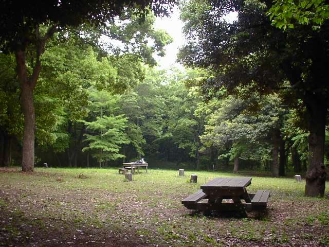 c0097309_735830.jpg