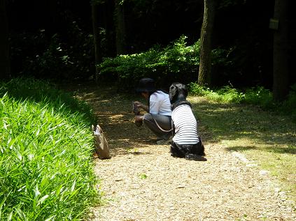                    あしたか運動公園_c0097309_7435278.jpg