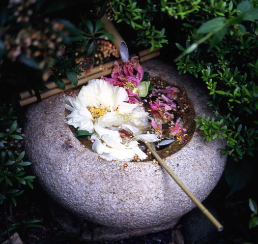 作例（フジGS645） : 染付屋回回青の気まぐれ日記帳