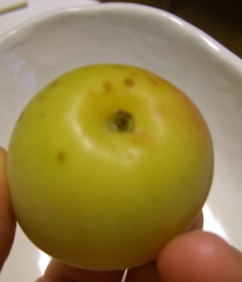 b0084428_23153491.jpg