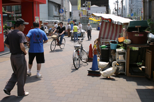 a0097735_1424963.jpg