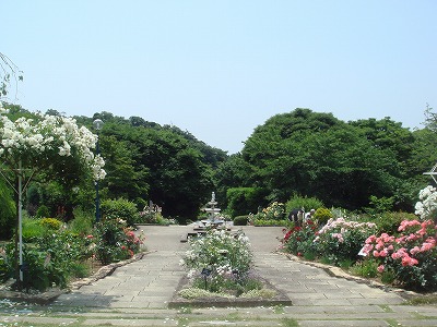 北山緑化植物園_a0076237_18572054.jpg