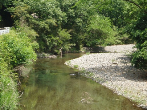 北川（現、延岡市）の松葉小学校付近_e0094349_6143862.jpg