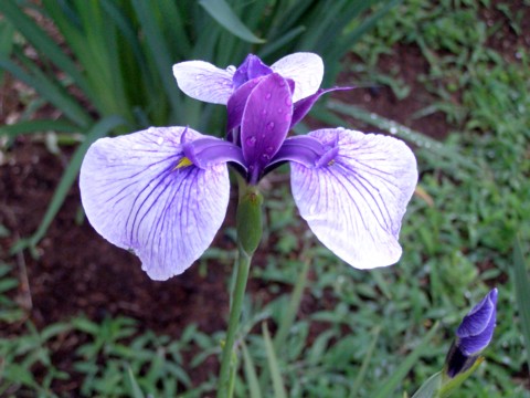 f0043750_20104385.jpg