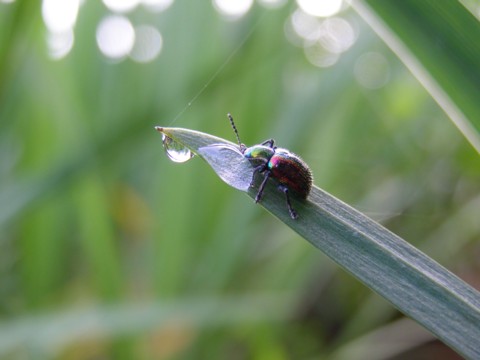 f0043750_20145813.jpg