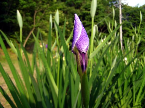f0043750_2092323.jpg