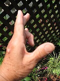 c0020653_23352945.jpg