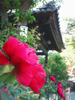c0097856_22134281.jpg