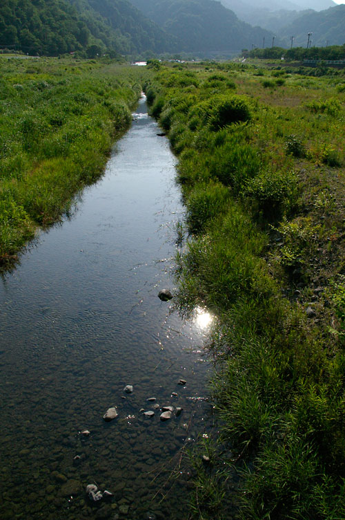 鉄橋のある風景_d0100156_217529.jpg