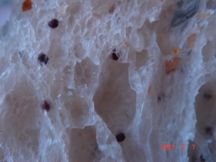 f0136579_18545959.jpg