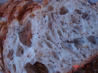 f0136579_18554296.jpg