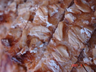 f0136579_1943156.jpg