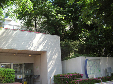 d0009581_5514220.jpg