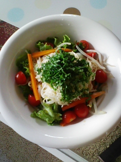 シソたっぷりぶっかけ野菜素麺_e0049681_1214064.jpg