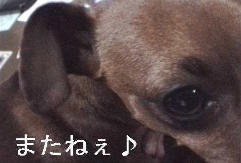 f0123589_17104933.jpg