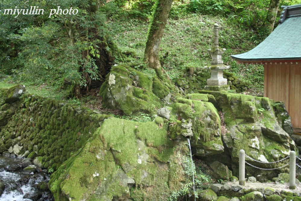 永平寺_b0109602_22383033.jpg