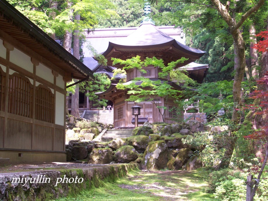 永平寺_b0109602_22394086.jpg