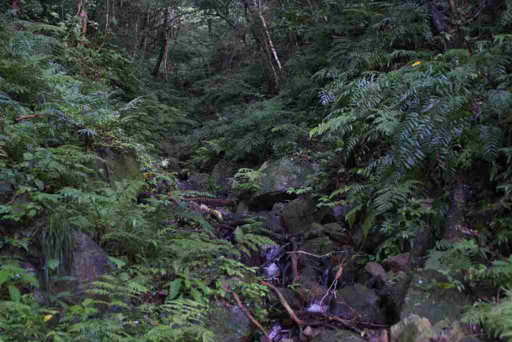 d0053930_663377.jpg