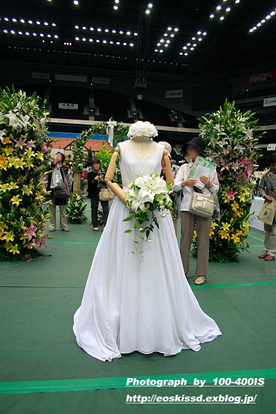 《花》　ジャパンフラワーフェスティバルさいたま2007　その6（ユリ）_c0080036_22213937.jpg