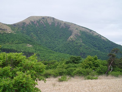 d0048350_19533044.jpg