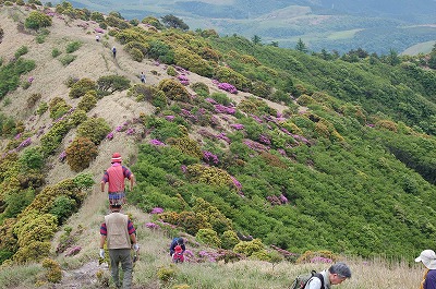 d0048350_2011599.jpg
