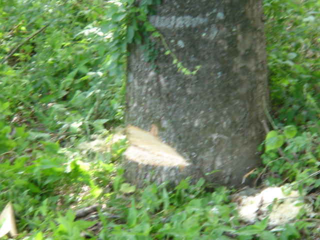 c0123272_13563145.jpg