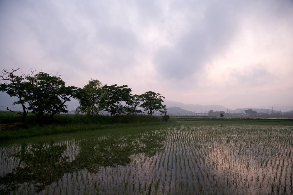 田園の落日_b0074098_774316.jpg