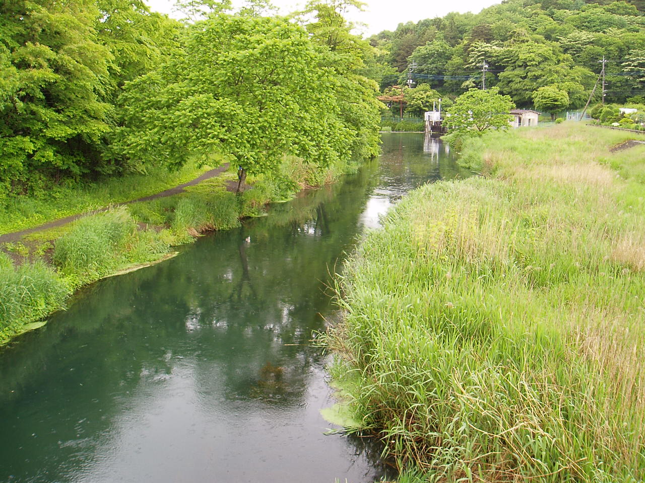 f0137709_21305512.jpg