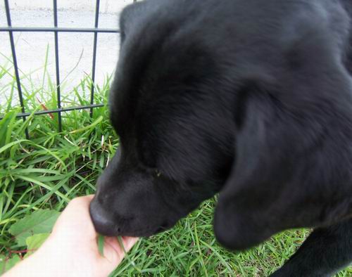 c0101713_20123241.jpg