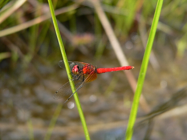 e0002314_21123034.jpg