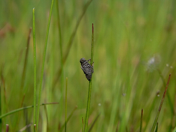 e0002314_21134785.jpg