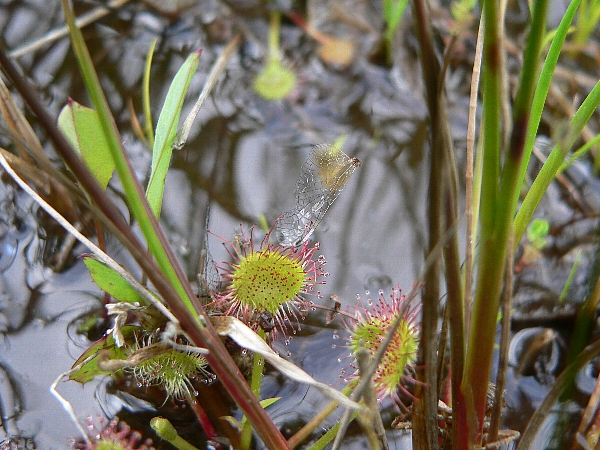 e0002314_21191219.jpg