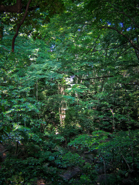 f0077521_737651.jpg