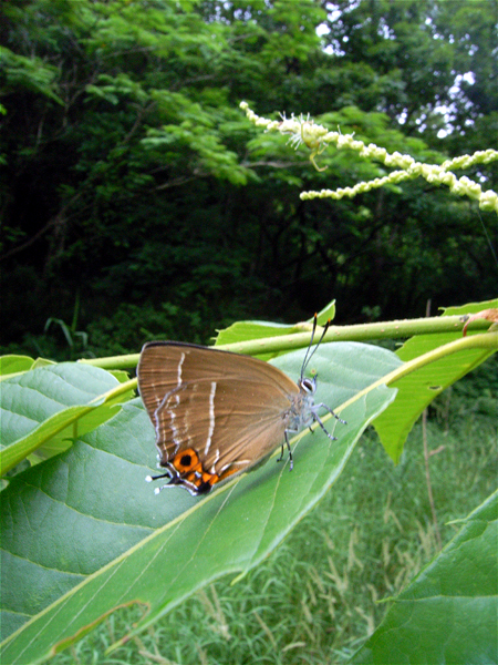 d0054625_204042100.jpg