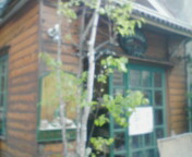 f0089225_18482242.jpg