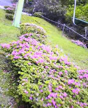 c0089831_12571421.jpg