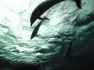 c0081032_12325867.jpg