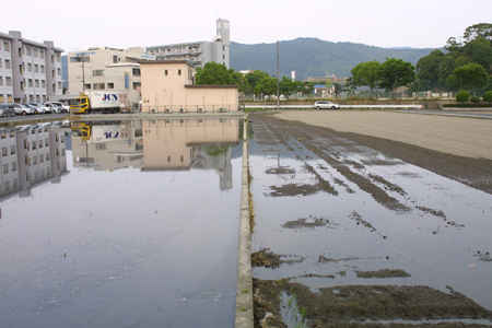 田んぼに水_a0097735_012029.jpg